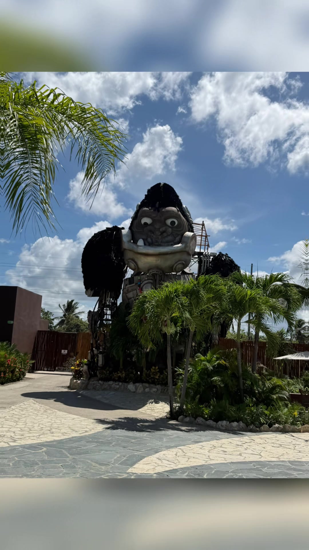 Dominican Dayz #livingmybestlife #fyp #puntacana #traveltiktok #blacktiktok