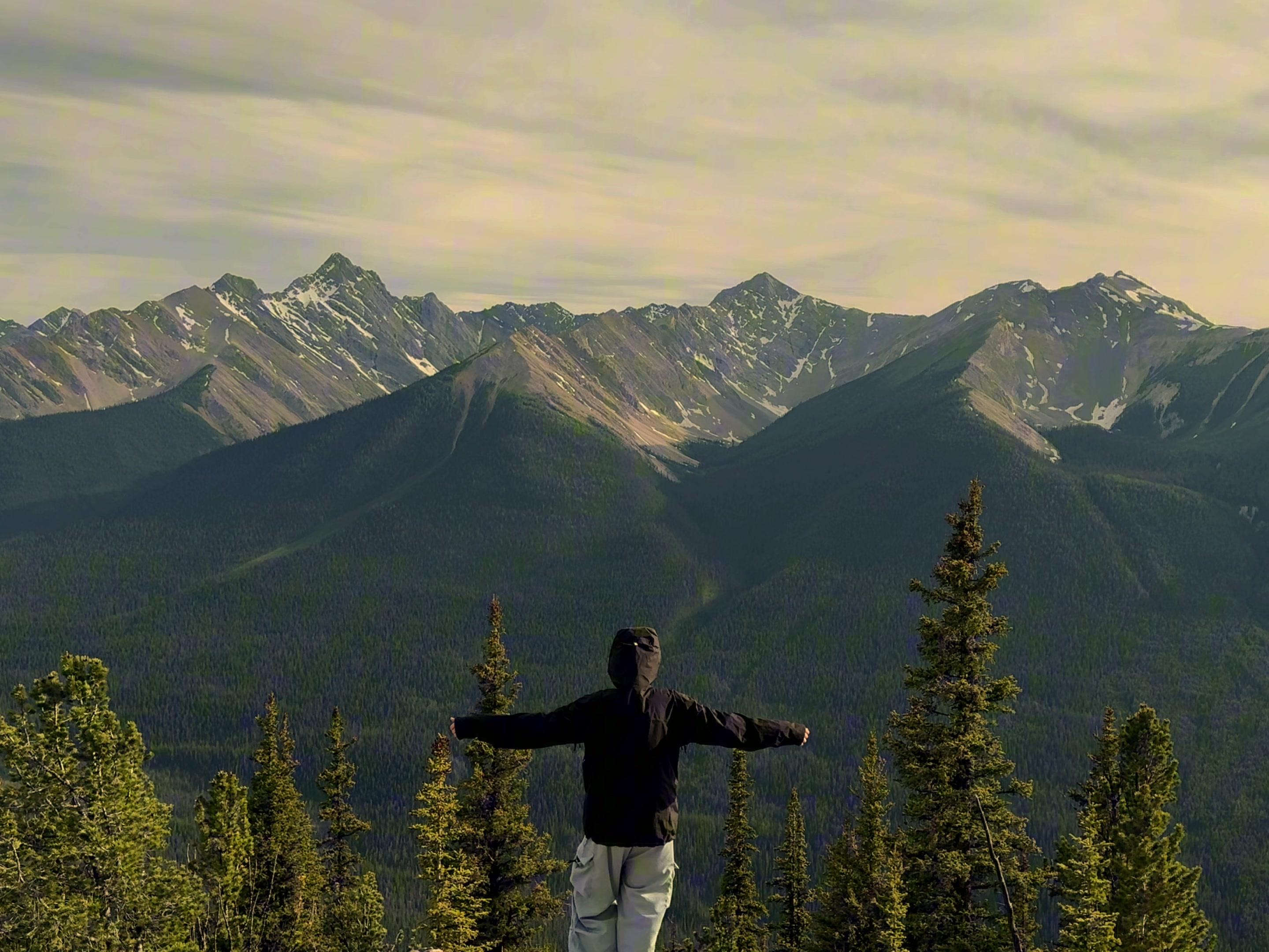 Alberta #fyp #foryoupage #viral #canada #canadianrockies #alberta #cinematography #cinematic #beautiful #nature #moun...