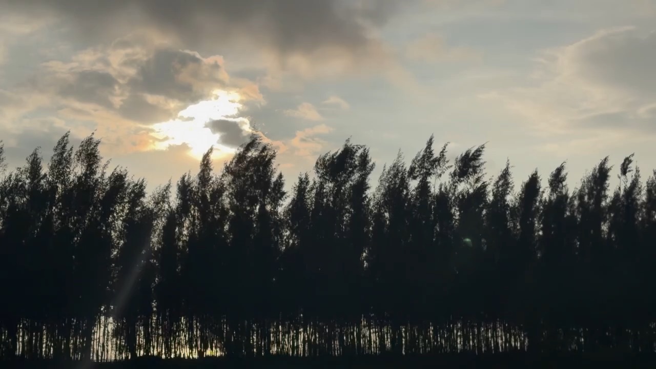 Travel
