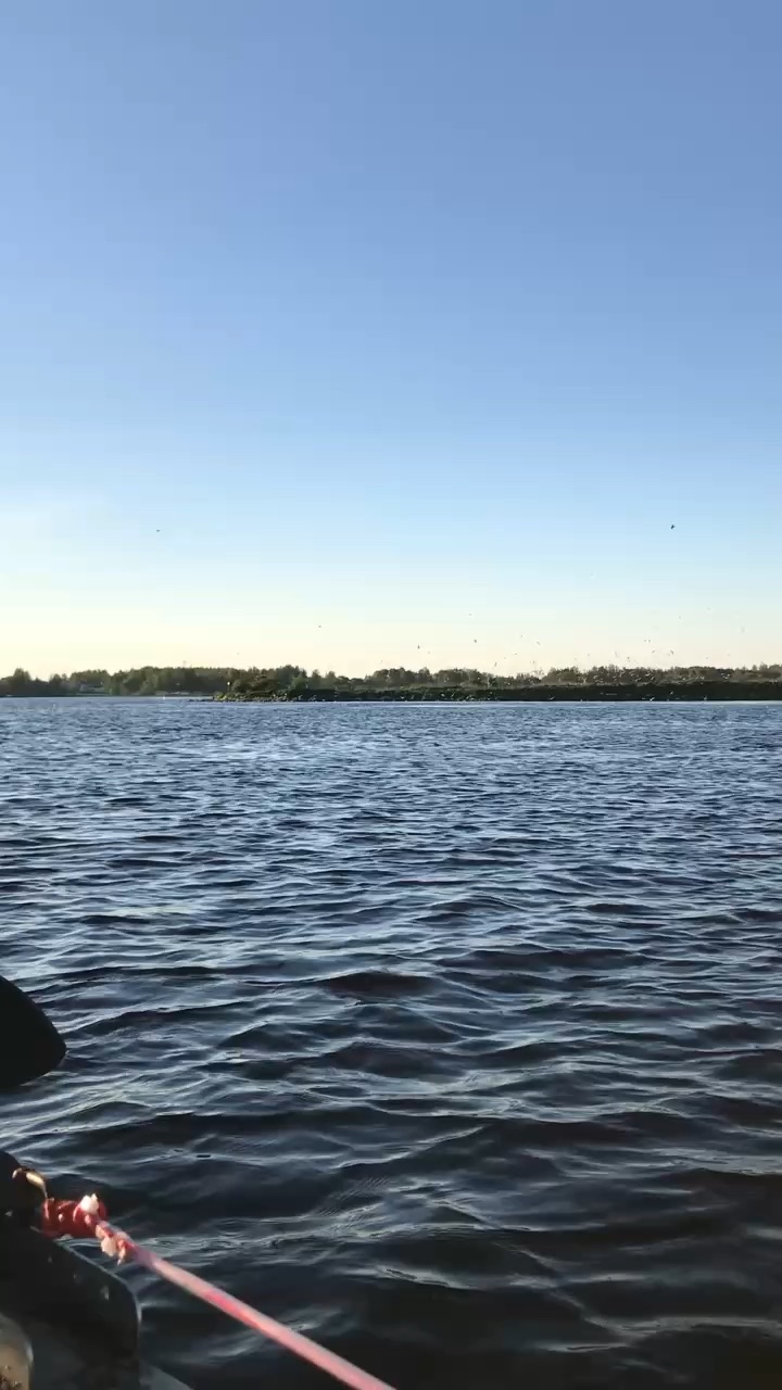 Fishing