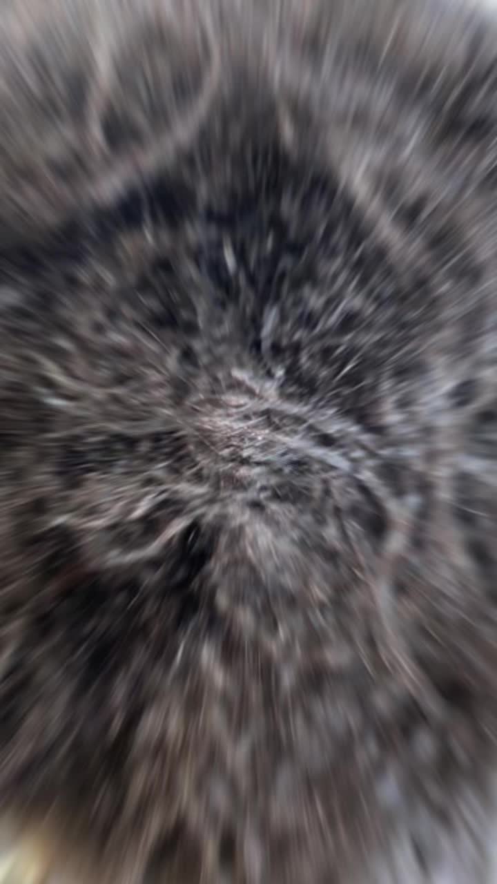 TikTok post