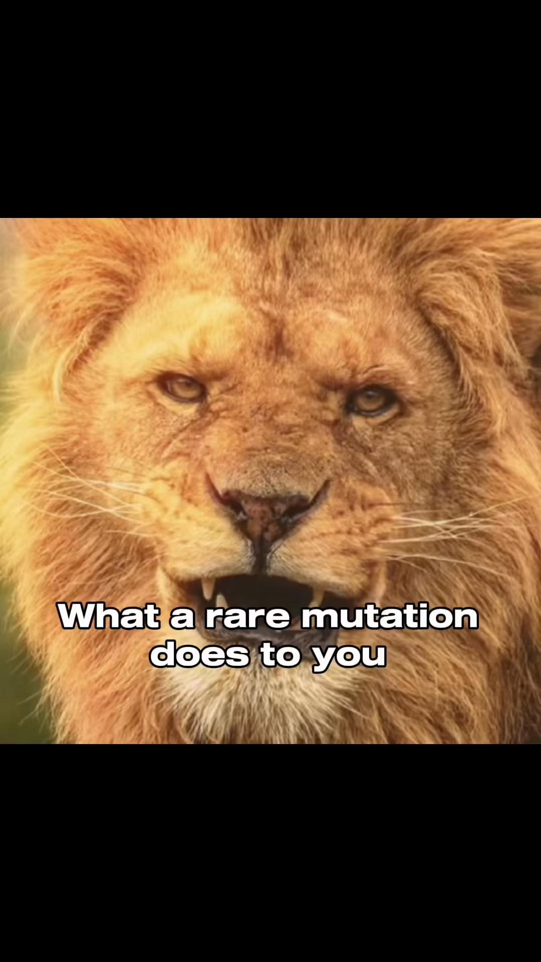 #mutation #lion #edit #whitelion #genetics