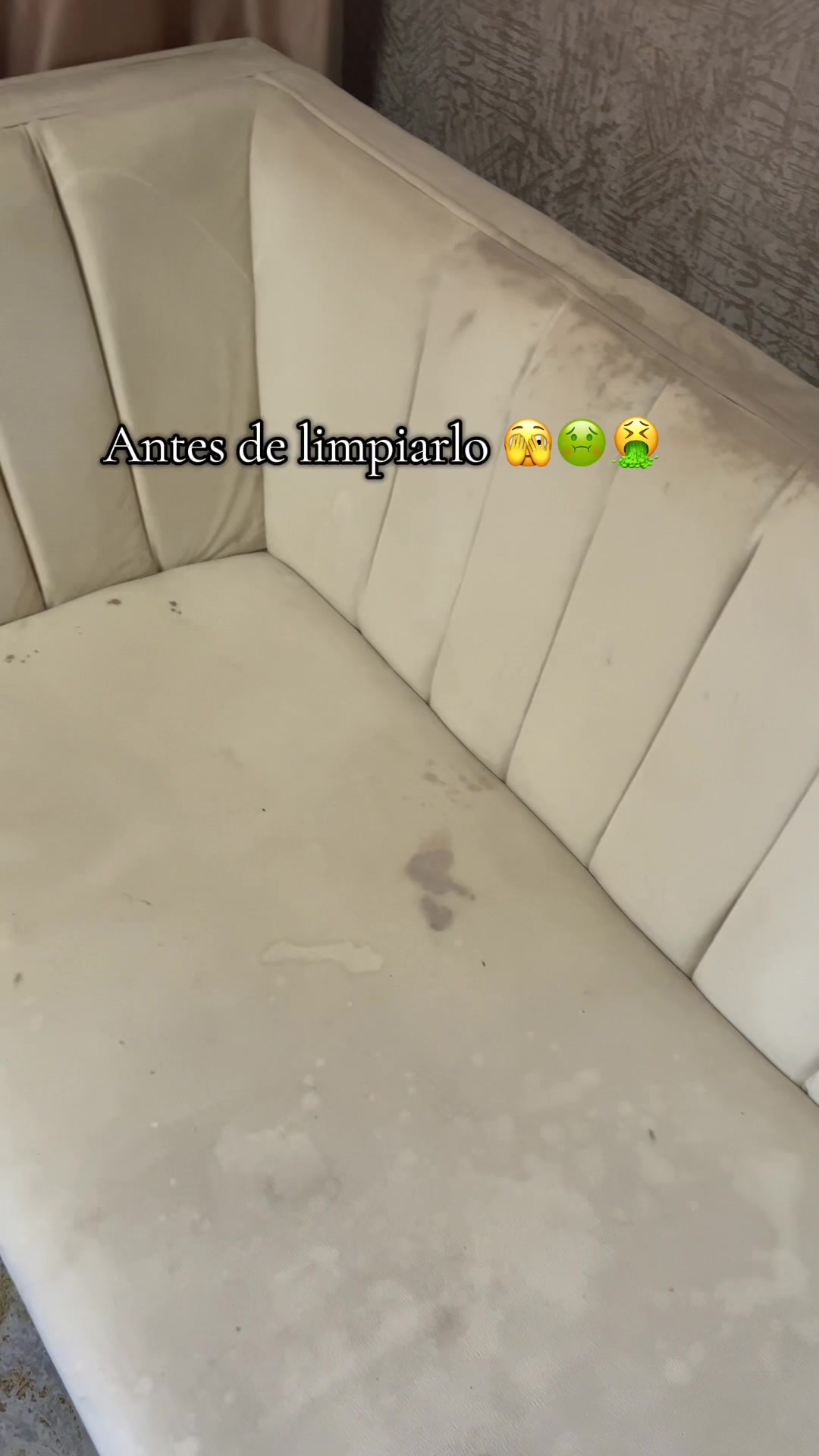 Hoy tocó limpieza a mi mueble, antes de Guzgarme me tuve proceso de mudanza y no encontraba Manera de limpiarlo 🫩🥴�...