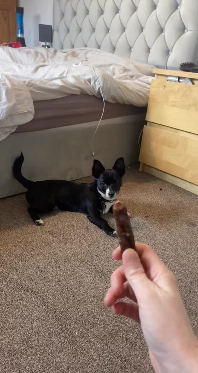 TikTok post