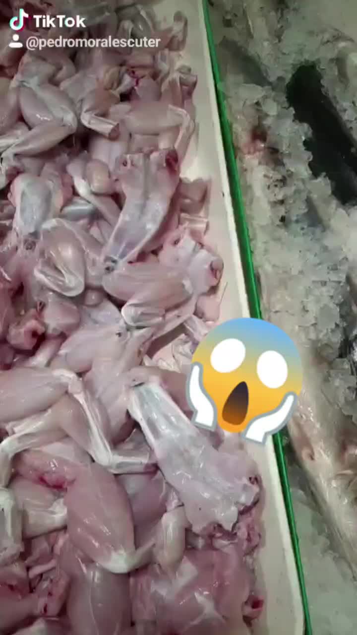 🐸🐸👈😱😱
