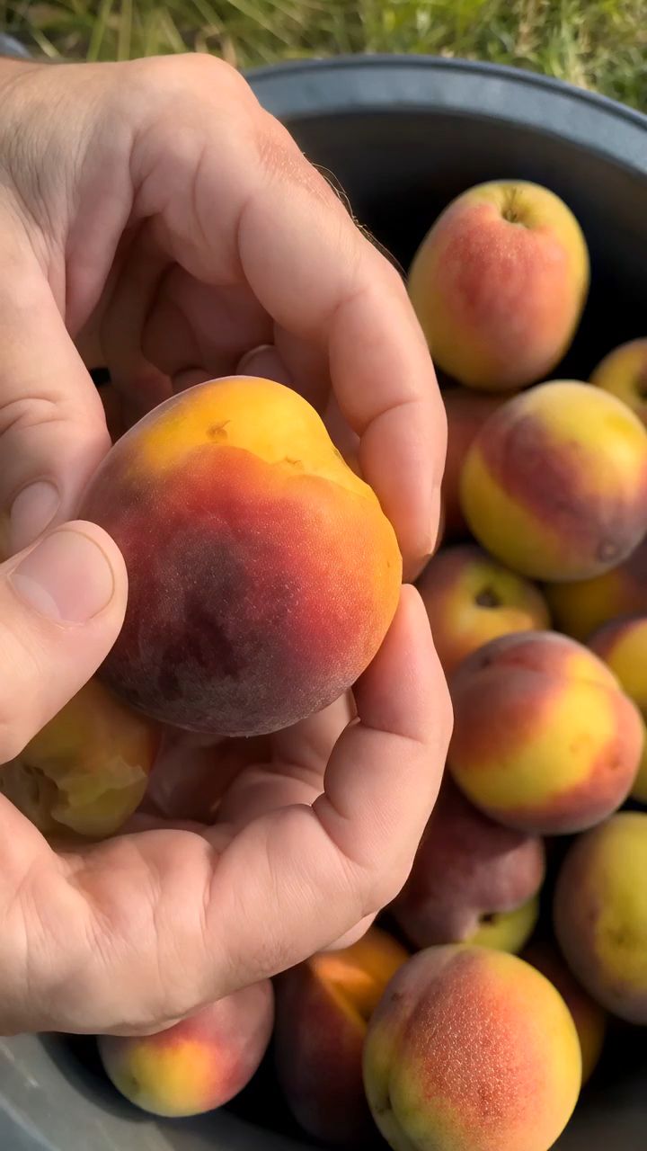 204