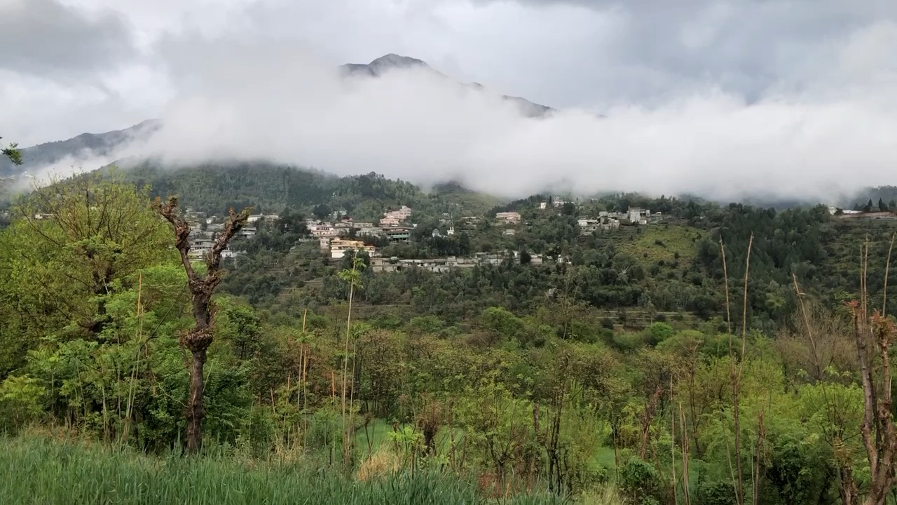 Nature