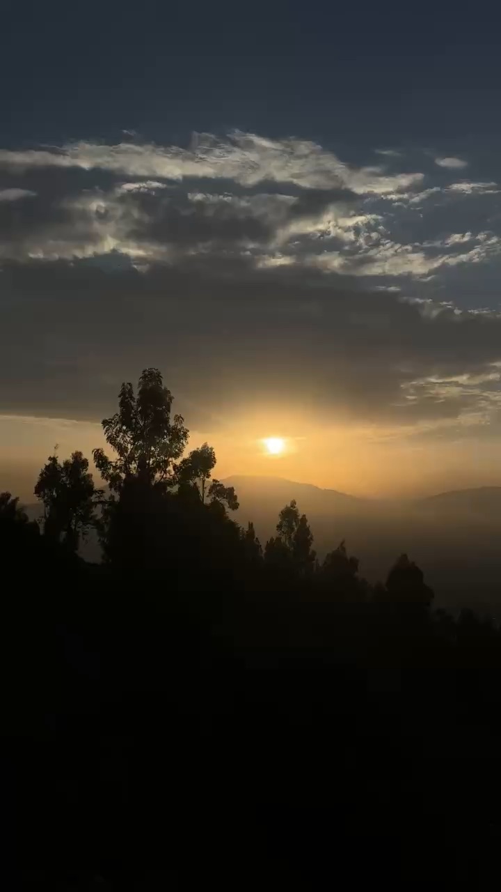 Enjoying the sunset