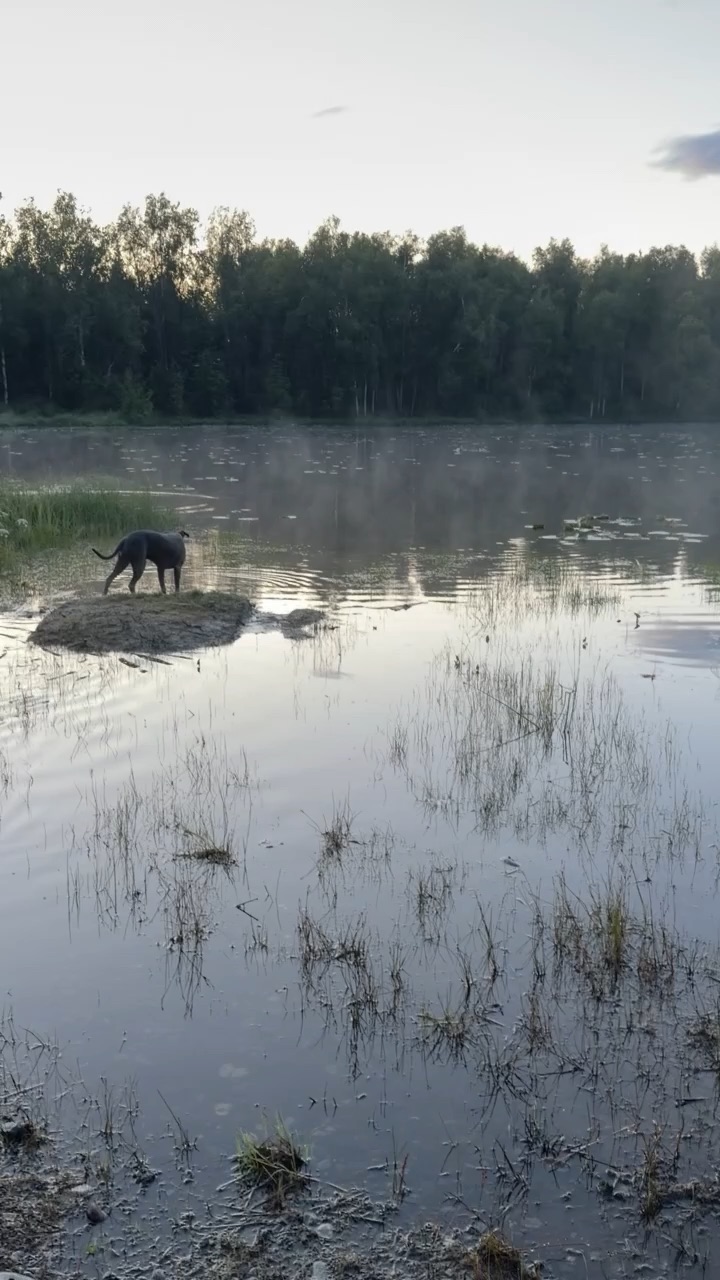 Traveled to skip some rocks
