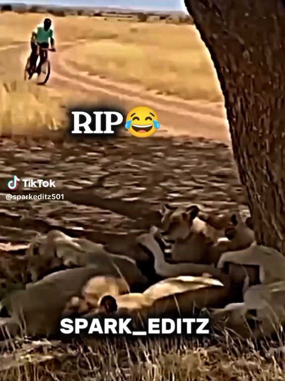 Always watch the road when riding