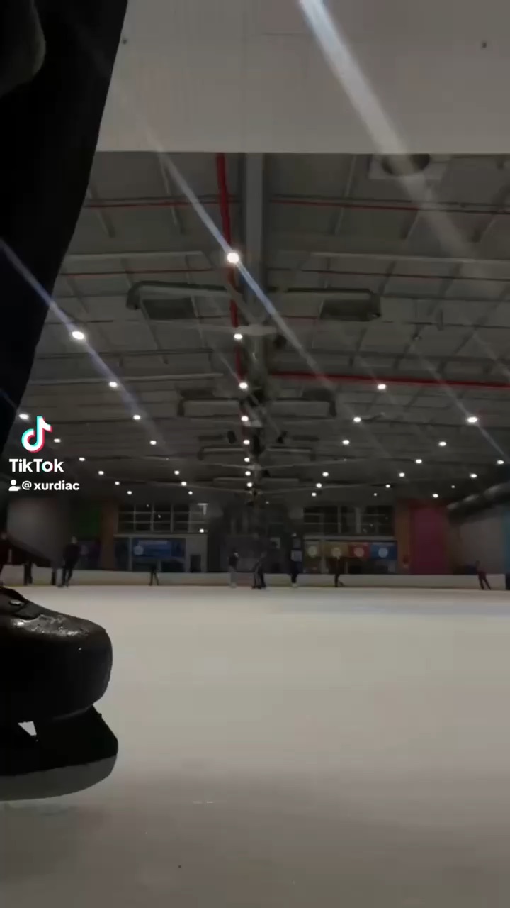 Skating vlog