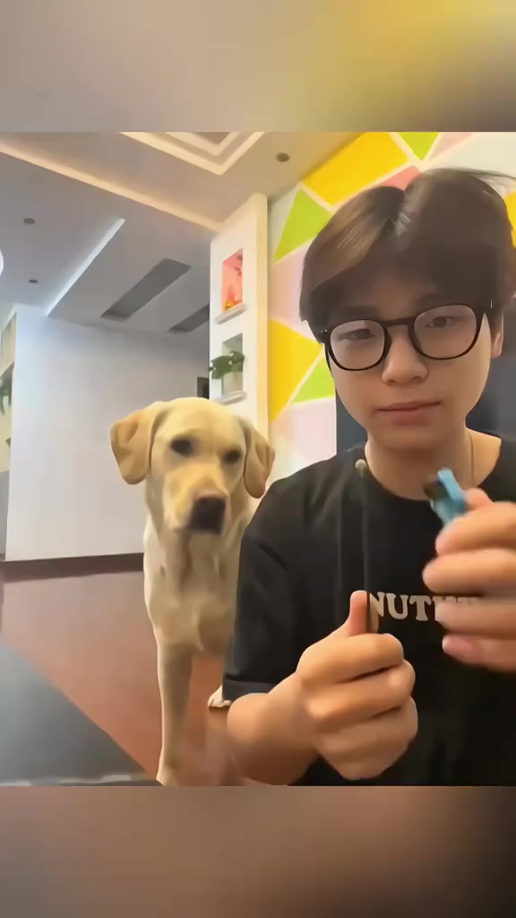 Funny animals moments🤣🤣#clips #fypp #fyp #funny