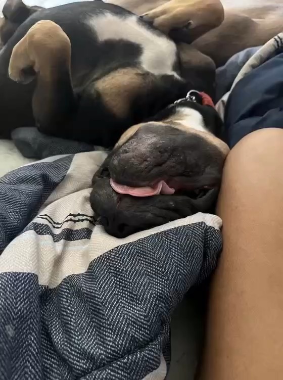 Silly video of Zander