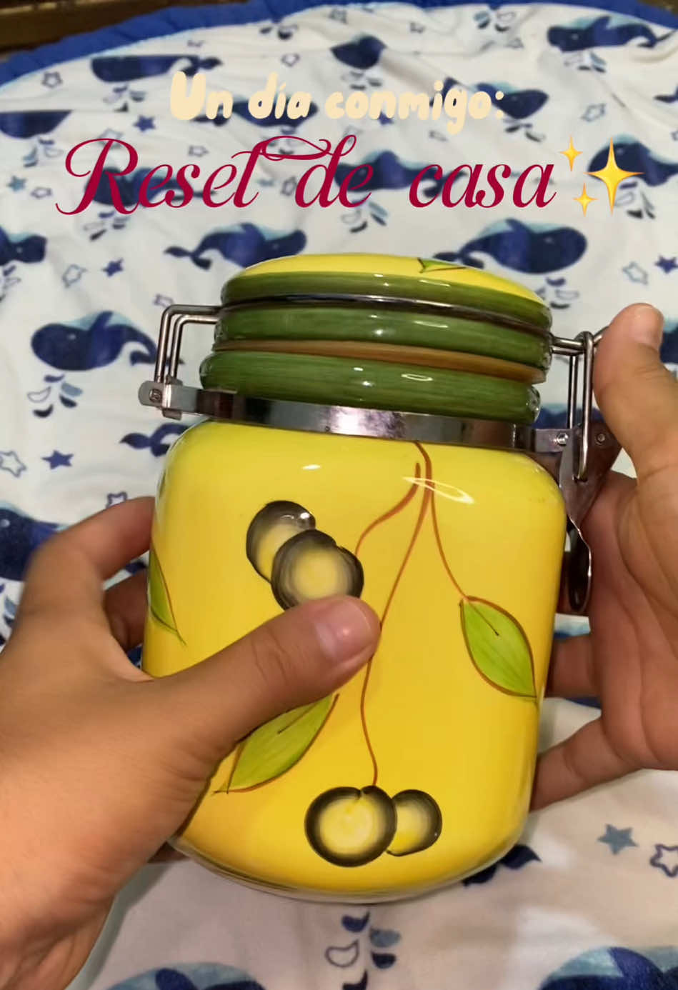 Un día de reset en casa completo 🧹✨ Nada como ver todo ordenado y cerrar con un cafecito viendo la lluvia ☕️🌧️ ¿Ust...