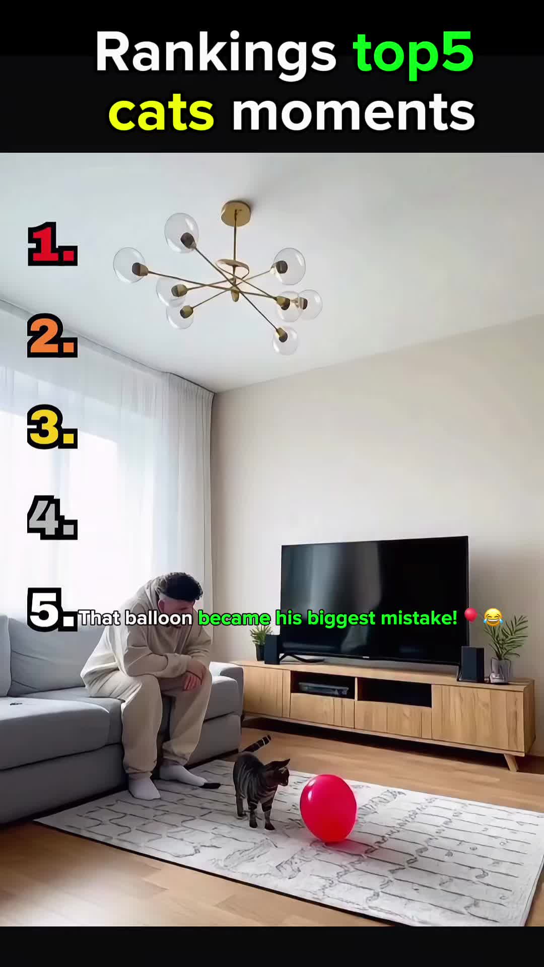Ranking Top 5 Funniest Cat Moments #Cats #FunnyCats #CatMoments #CatVideos