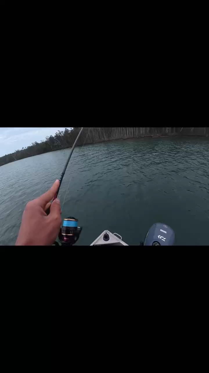 Brand new infeet s catch’s me some pelagic species