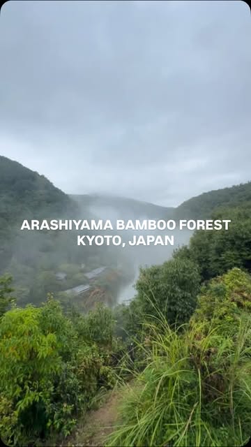 Arashiyama bamboo forest vibes