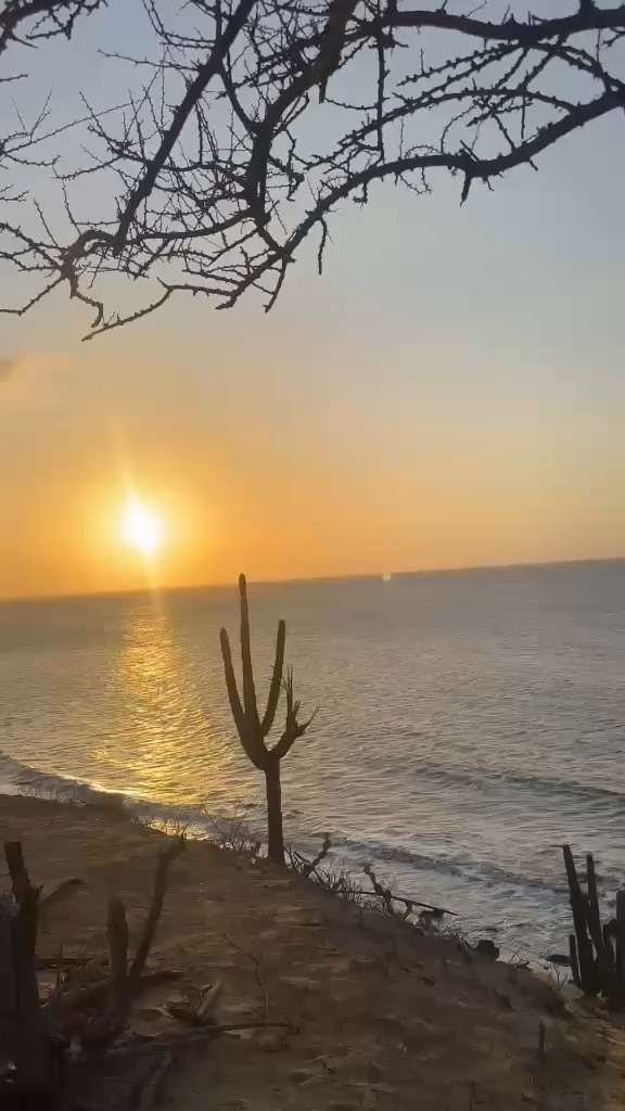 Bella vista