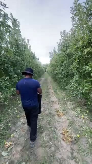 Mon