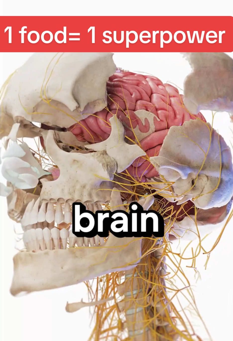 Eat THIS for a Smarter Brain, Stronger Body, and Glowing Skin 🧠💪✨ Nature knows best — are you eating the right food...