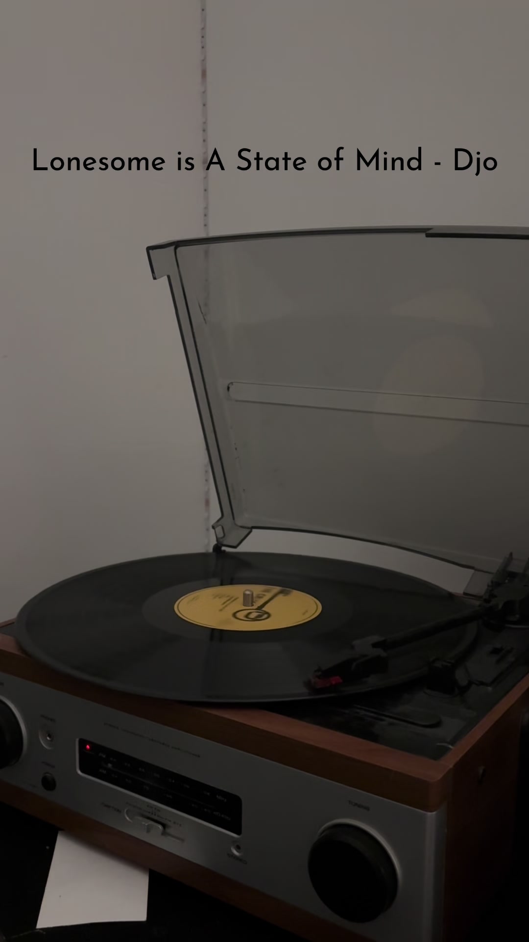 Lonesome is a State of Mind .#fyp #djo #music #vinyl