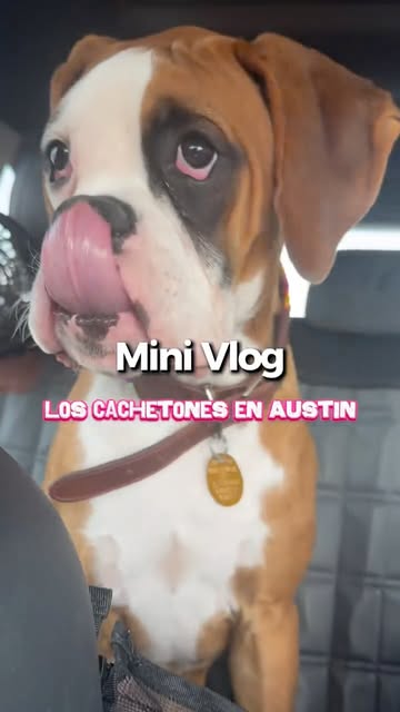 El video se ve muy asthetic pero el viaje fue express a Austin fue una locura absoluta fui a lo de Yatra, perdí un an...