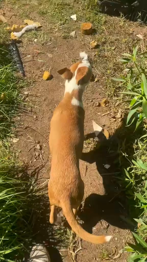 Gardening