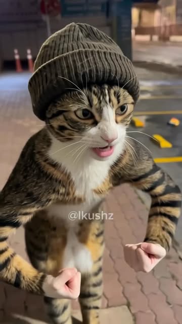 é foto carai 😾😹 #foryou #cat #fyy #memes #fypppppppppppppppppppppppppppppppppppppppppppppppppppppppppppppppppppppp