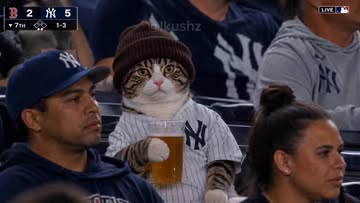 Criei esse vídeo viral do BeanieCat na arquibancada usando a plataforma @syntx_global | @syntx_creators USE O CUPOM:...