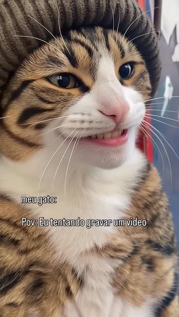 eu to rindo? 😹 #foryou #fypppppppppppppppppppppppppppppppppppppppppppppppppppppppppppppppppppppp #cat #fyy #memes