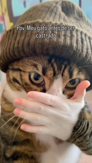 mo vacilão 😼 #memes #cat #fyy #foryou #fypppppppppppppppppppppppppppppppppppppppppppppppppppppppppppppppppppppp