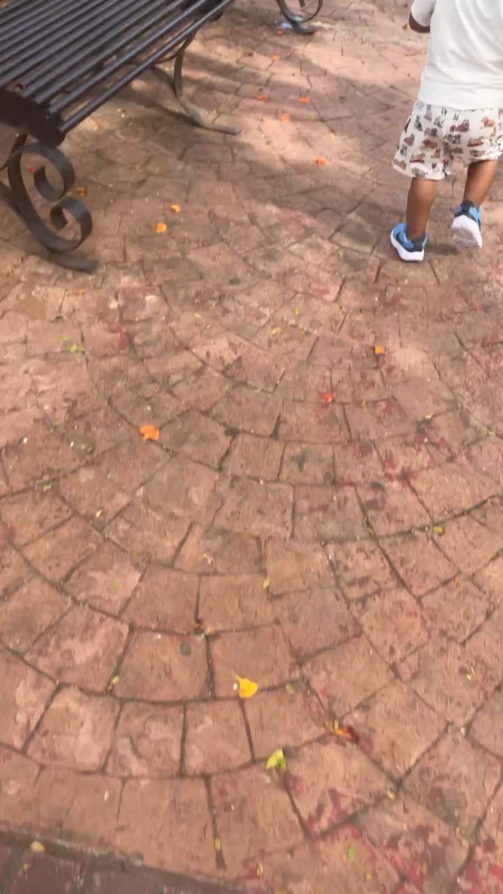 Las palomas