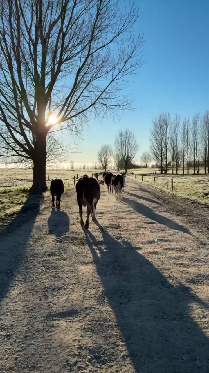 Farming