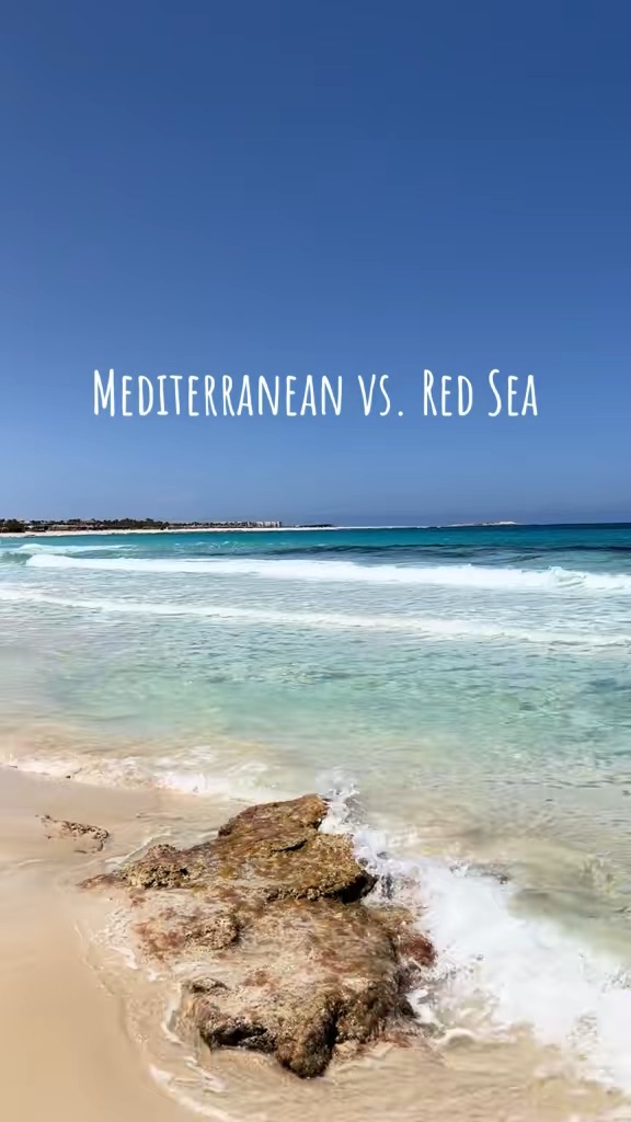 Mediterranean Vs. Red Sea