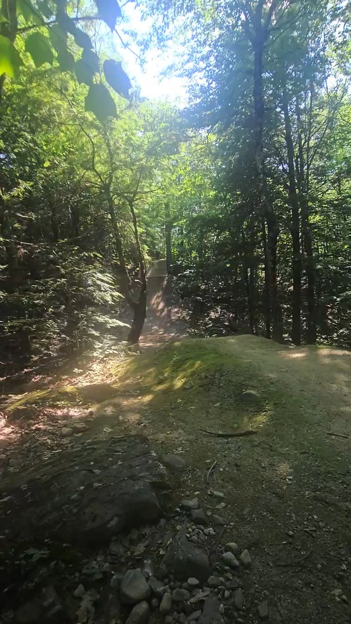 Just send it