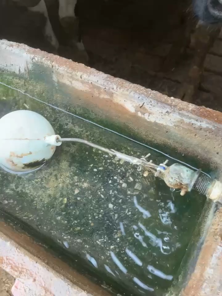 Apaños pro