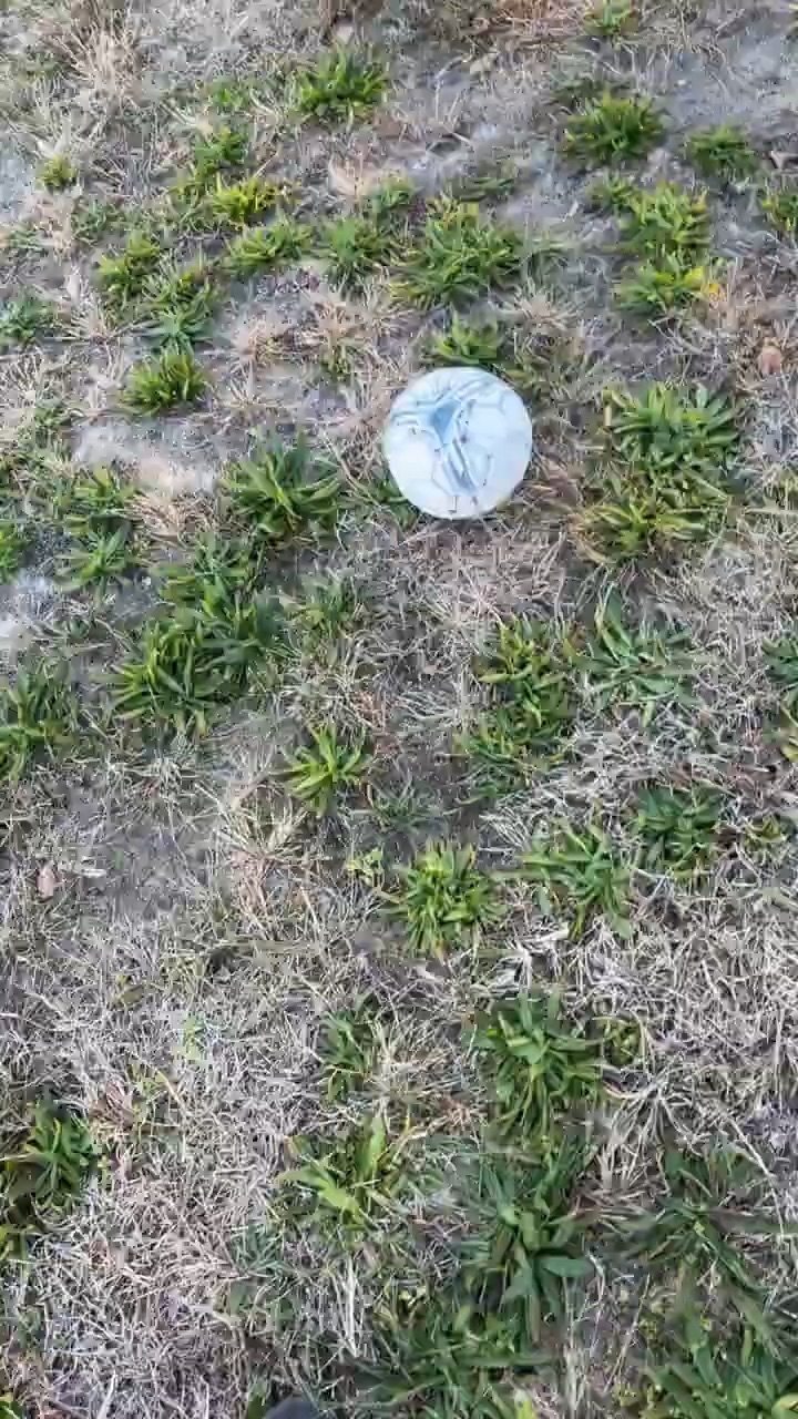 10/10 soccer ball