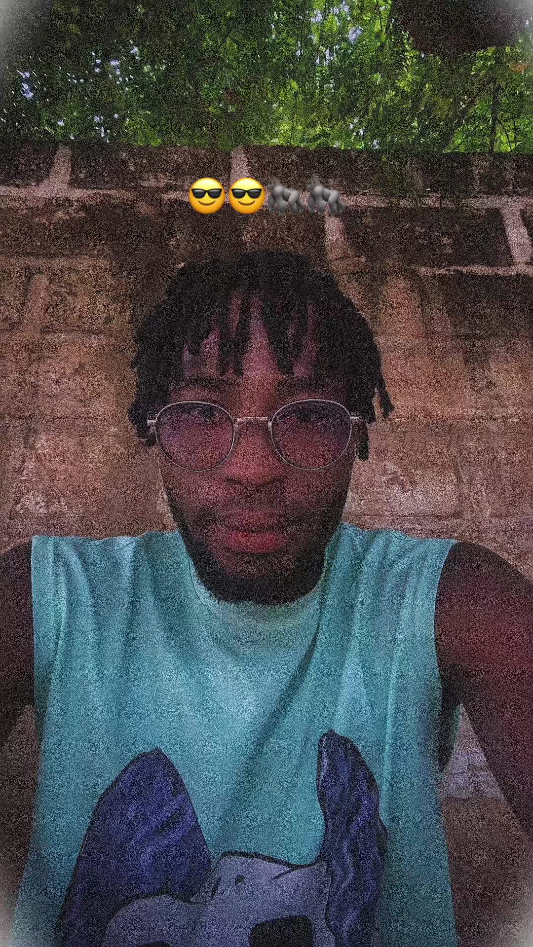 🦍🦍😎