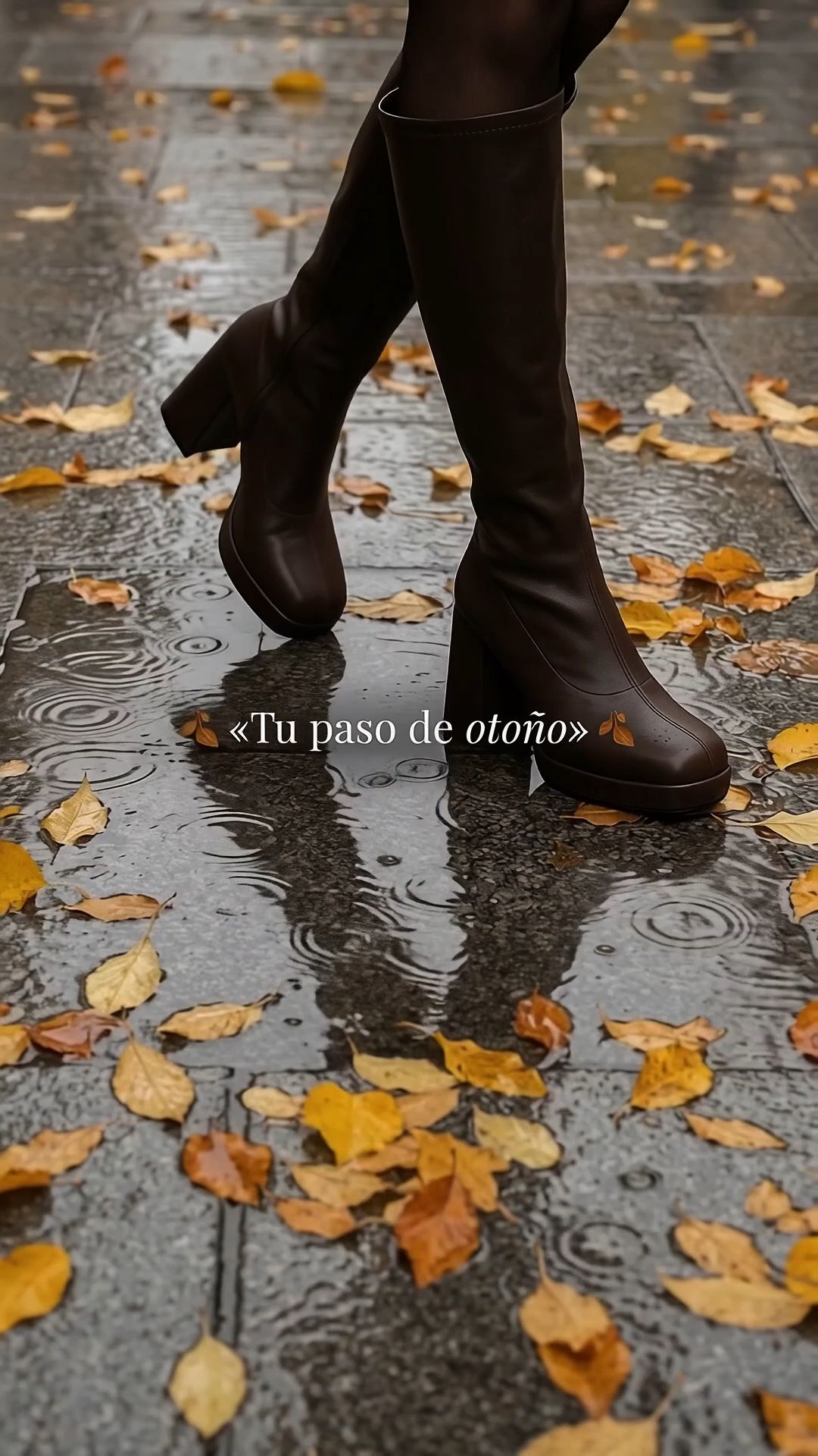 Moda Botas