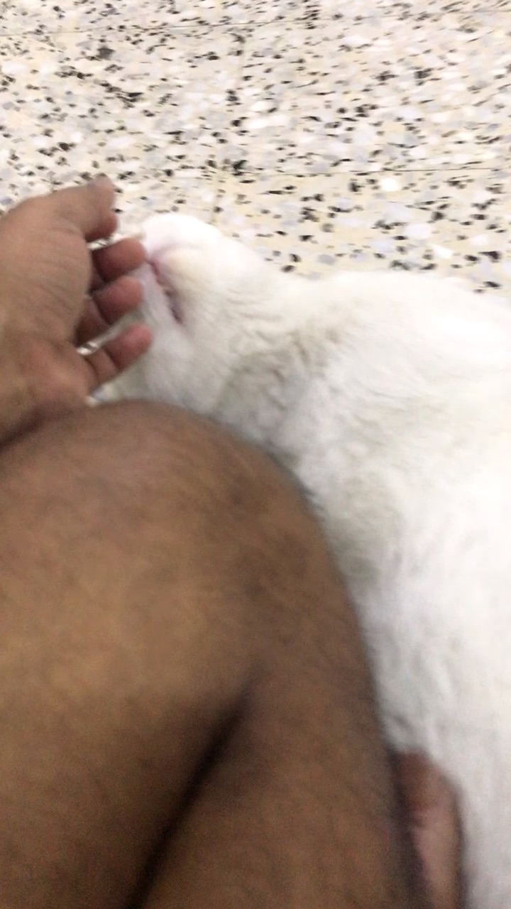 Leo and Me