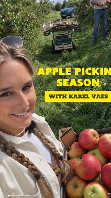 🍎 From tree to… caramelised perfection. It’s apple and pear season in Flanders, so we headed to Limburg to lend frui...
