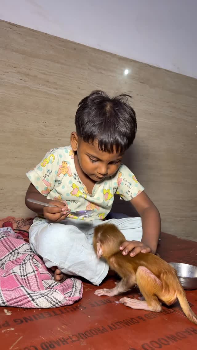 Babu ye dekho bandar🥹😍🥰🥰…. #réel #trending #arpitamoriya1_