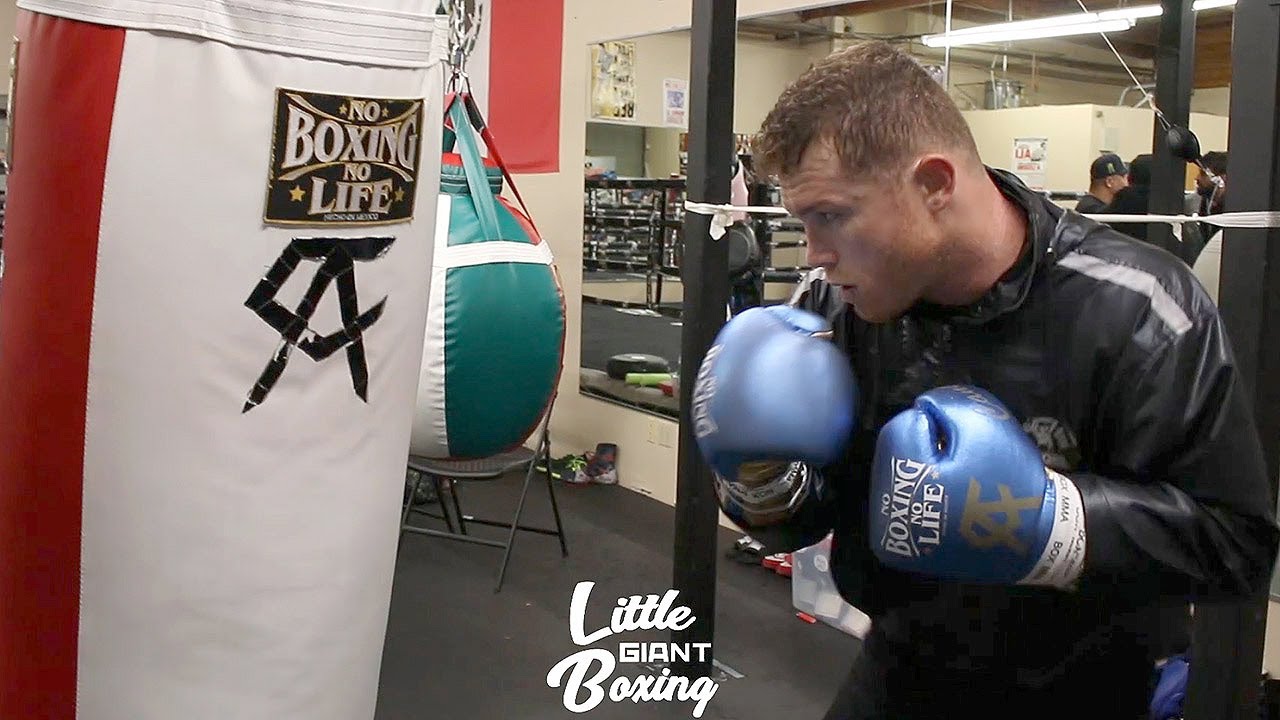 CANELO KILLS THE HEAVY BAG, CANELO TRAINING TO GO SOUTHPAW & DESTROY NEXT OPPONENT! #CANELO #Caneloalvarez #Littlegia...
