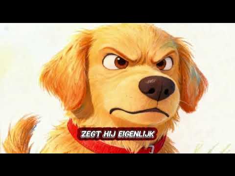 Angry dog and cat how to see