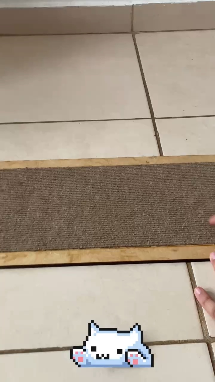 ASMR - Cats