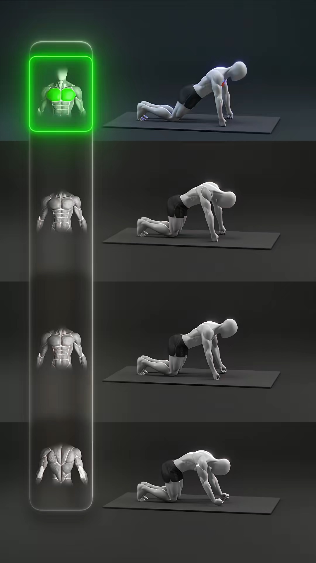 Workout