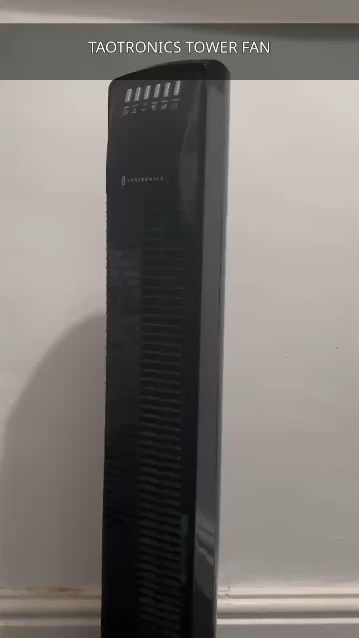TaoTowerFan