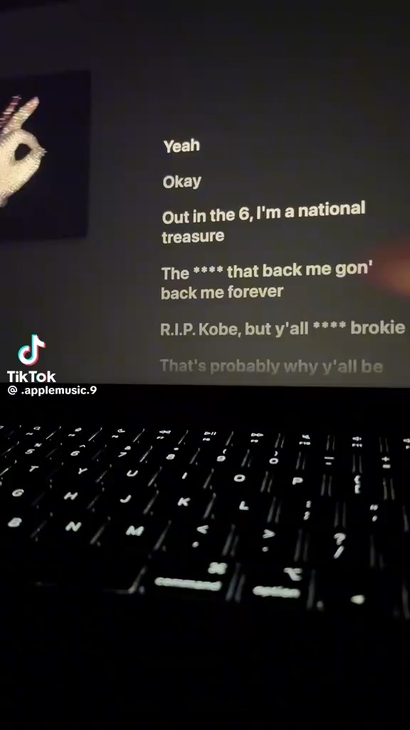 Drake ~ National Treasures