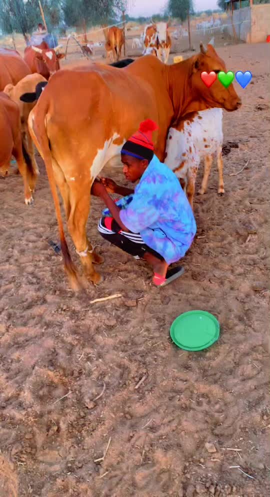 Tu l’oublie nette il boit ton lait sacré peule 😹😹😹🇨🇮🇲🇱