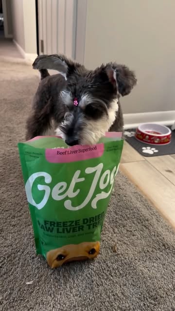 Zoe has been loving her @GetJoyFood Freeze-Dried Food! 🐶💕 She gets so excited when she sees me getting her food rea...